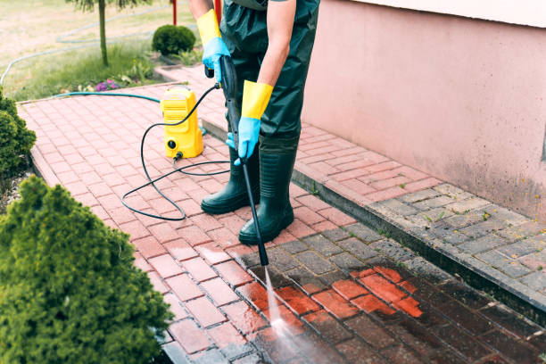 Local Pressure Washing Services in Monterey Park, CA